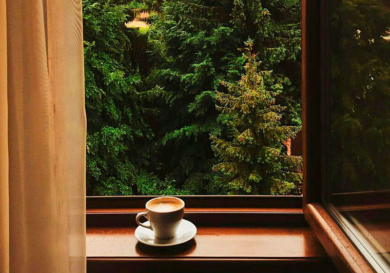xícara de café na janela com vista para natureza